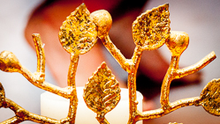 Blessing Tree Toes Yoga Studios Chattanooga TN