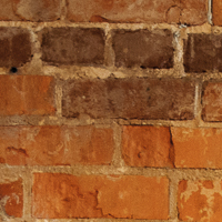 Brick Wall Toes Yoga Studios Chattanooga TN